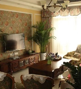 ��215��ɹ��