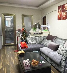 ��239��ɹ��