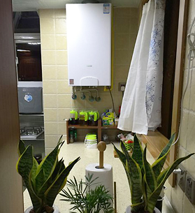 ��292��ɹ��